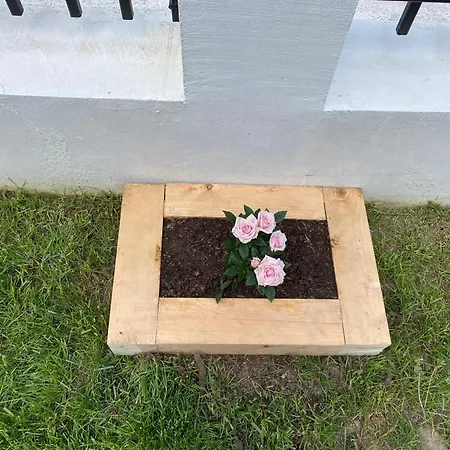 Guest house Sugarfame-