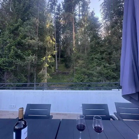 Sugarfame- Sŭrnitsa