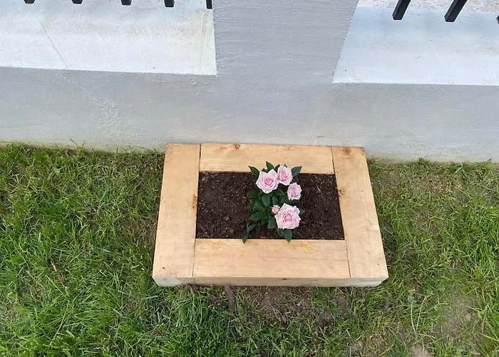 Guest house Sugarfame-