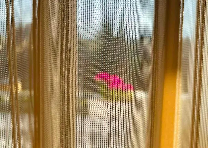 Guest house Sugarfame- Sarnitsa