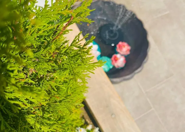 Sugarfame- Guest house Sarnitsa